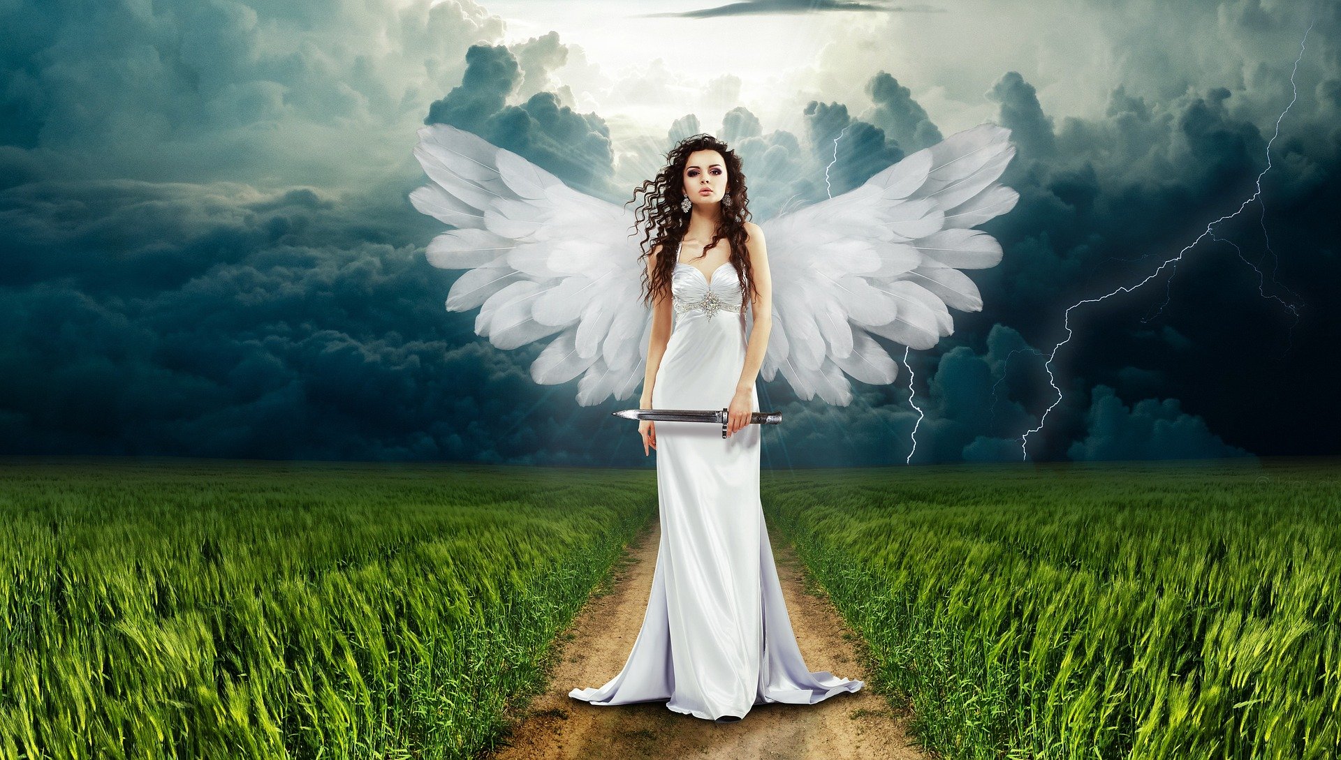 A fairy warrior